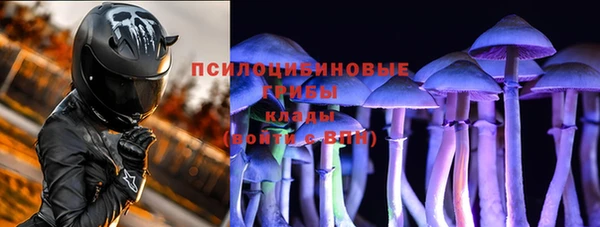 индика Алексеевка