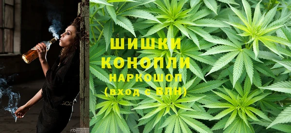 индика Алексеевка