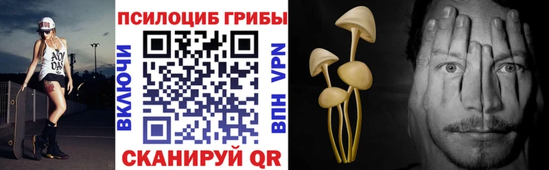 Псилоцибиновые грибы мицелий  продажа наркотиков  blacksprut ссылки  Балашов 